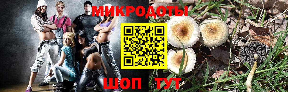 Псилоцибиновые грибы мицелий Майкоп