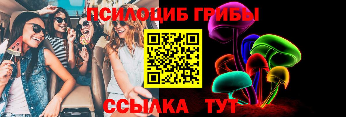 где купить   Вход с VPN  Майкоп  Галлюциногенные грибы ЛСД  Псилоцибиновые грибы Psilocybe 